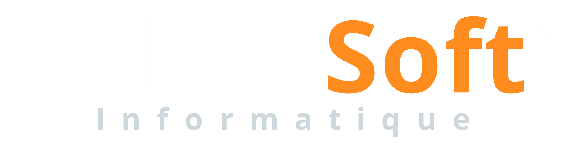 Selmi Soft Informatique